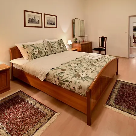 Апартаменты Golden Goose *